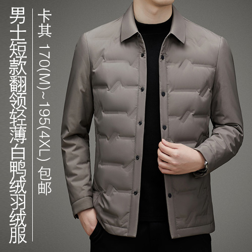 男士短款翻领轻薄白鸭绒羽绒服-包邮