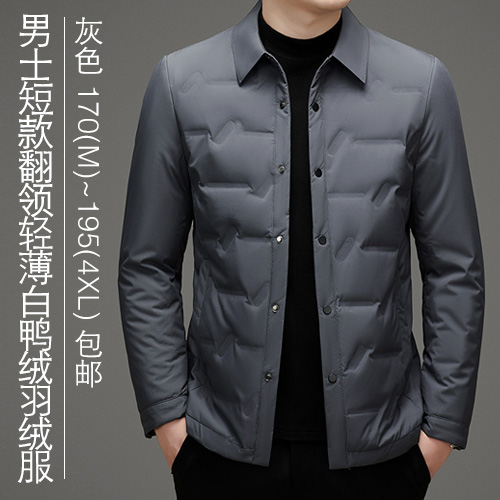 男士短款翻领轻薄白鸭绒羽绒服-包邮