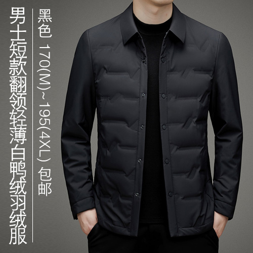 男士短款翻领轻薄白鸭绒羽绒服-包邮